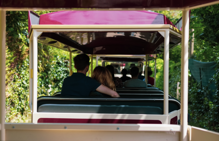 Train touristique à cannes : une activité familiale à faire pour découvrir la ville.