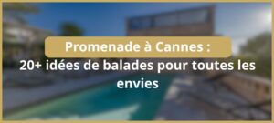 Lire la suite à propos de l’article Promenade à Cannes : 20+ idées de balades pour tous les envies